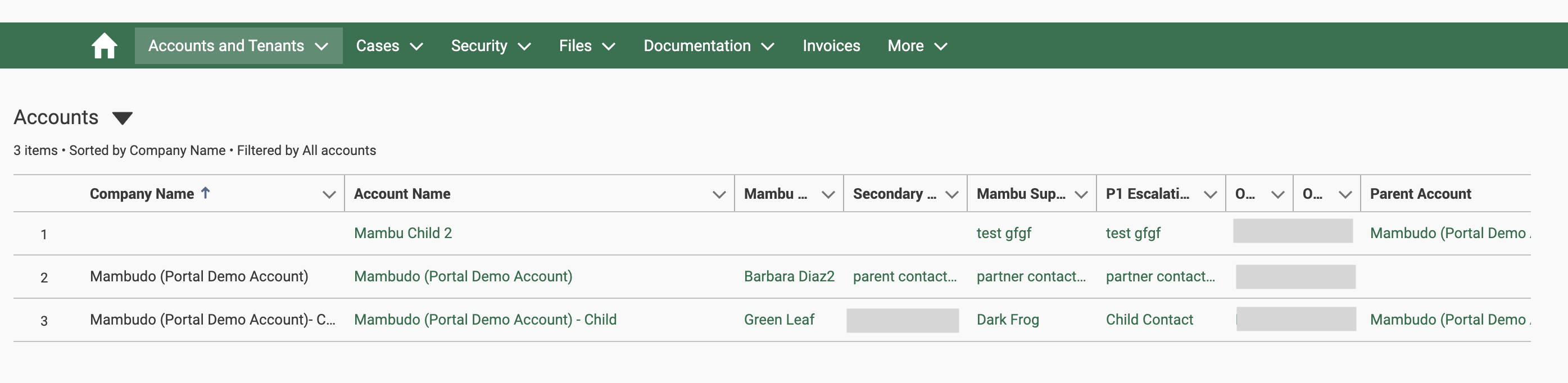 New_CSP_Accounts and Tenants - Accounts Information.png